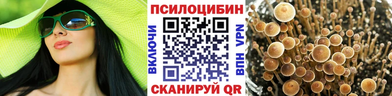 цена наркотик  Уварово  Галлюциногенные грибы мицелий 